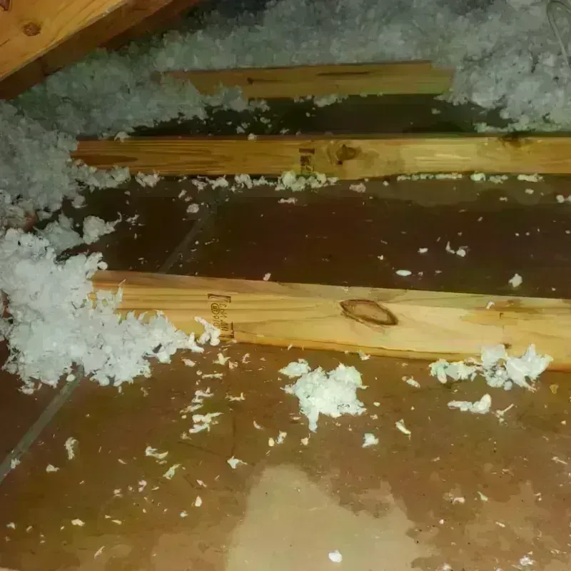 Attic Water Damage in Whiteland, IN